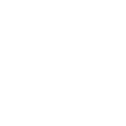 Millennium